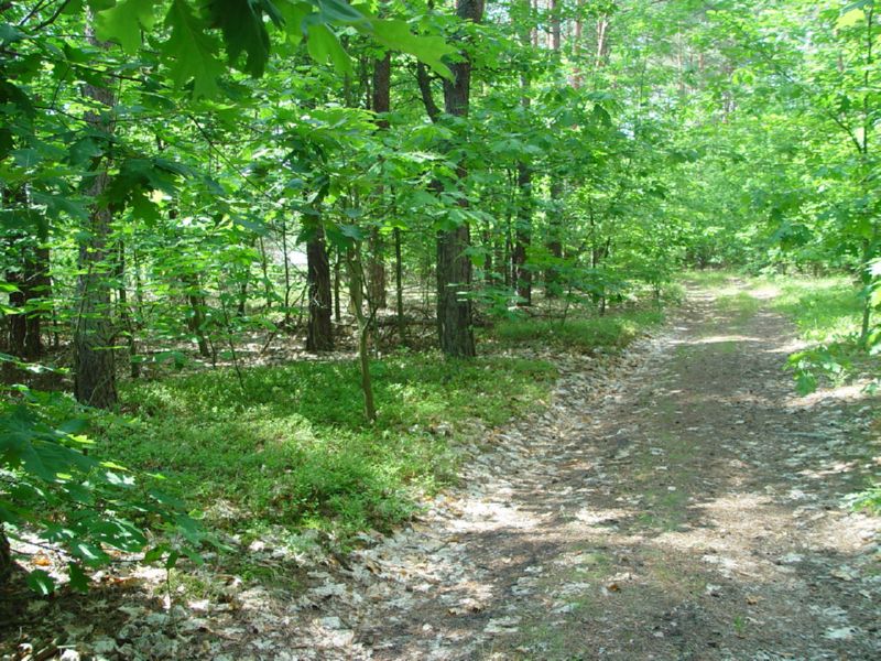 Sobibor path 1